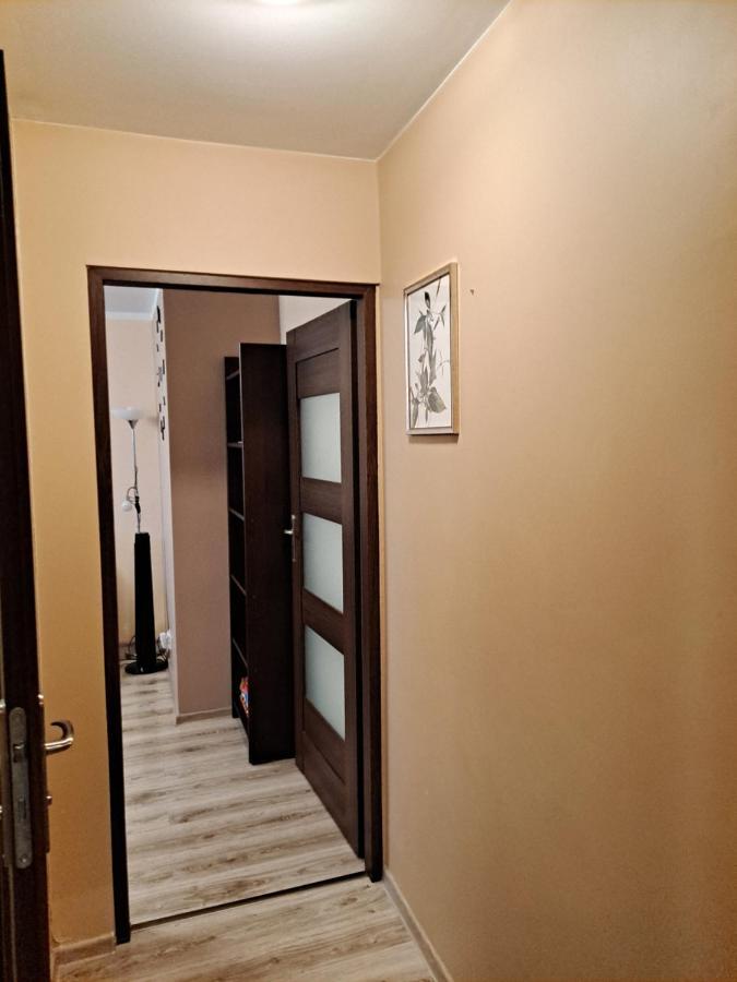 Monica Apartment Jelenia Góra Екстериор снимка